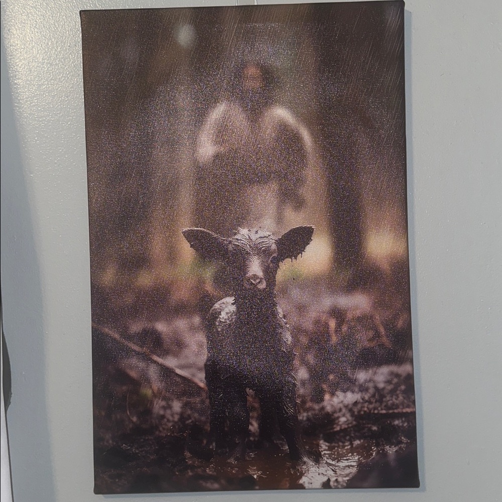 Jesus saving the lost black sheep in Rain Canvas Art 
18 X 23 - Picture 6 of 8